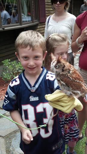 Little Boy with an Owl from Birds of Prey