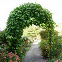 The Arch on the Bridge of Flowers